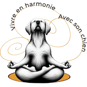 logo lilyknine éducateur comportementaliste à lille